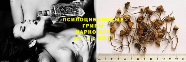 винт Бородино
