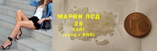 ПСИЛОЦИБИНОВЫЕ ГРИБЫ Верея