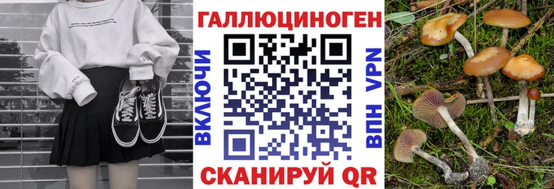 Галлюциногенные грибы мухоморы  где продают наркотики  MEGA зеркало  Калязин 